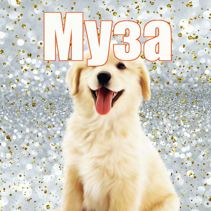 Муза! Удачи Тебе! Красивая открытка Музе!