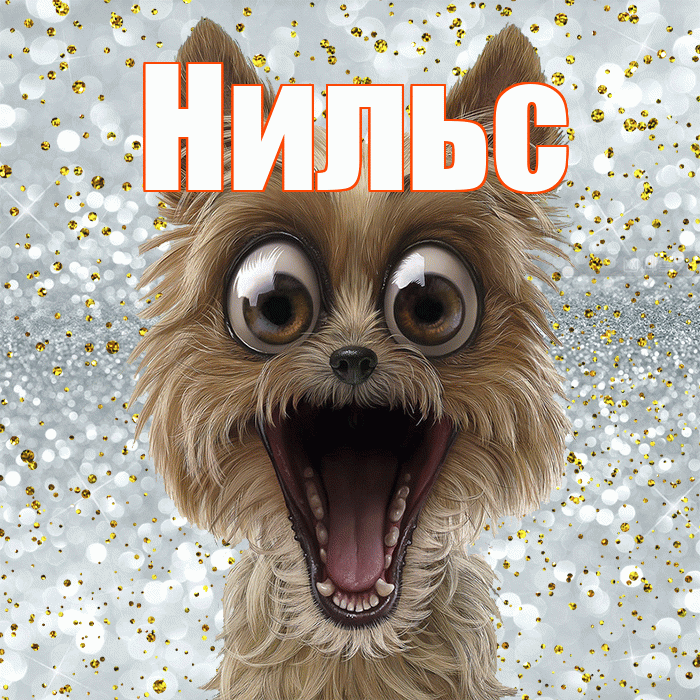 Нильс! Удачи Тебе! Красивая открытка Нильсу!