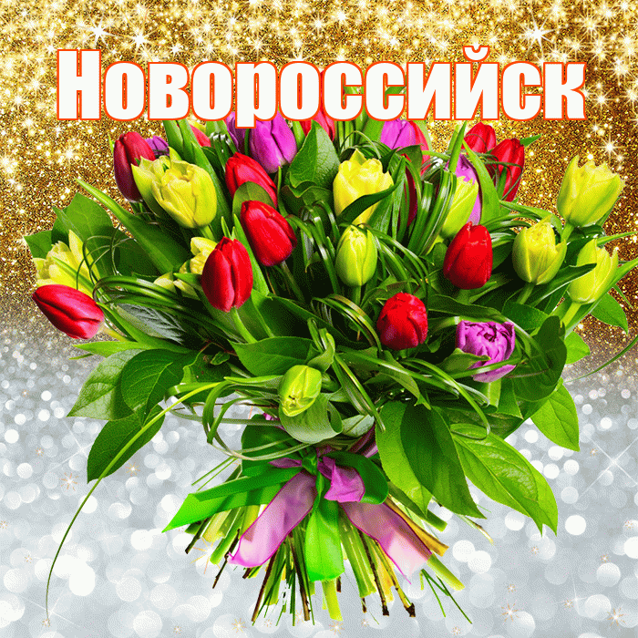 Новороссийск! Удачи Тебе! Красивая открытка Новороссийску!