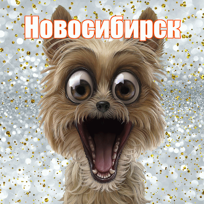 Новосибирск! Удачи Тебе! Красивая открытка Новосибирску!