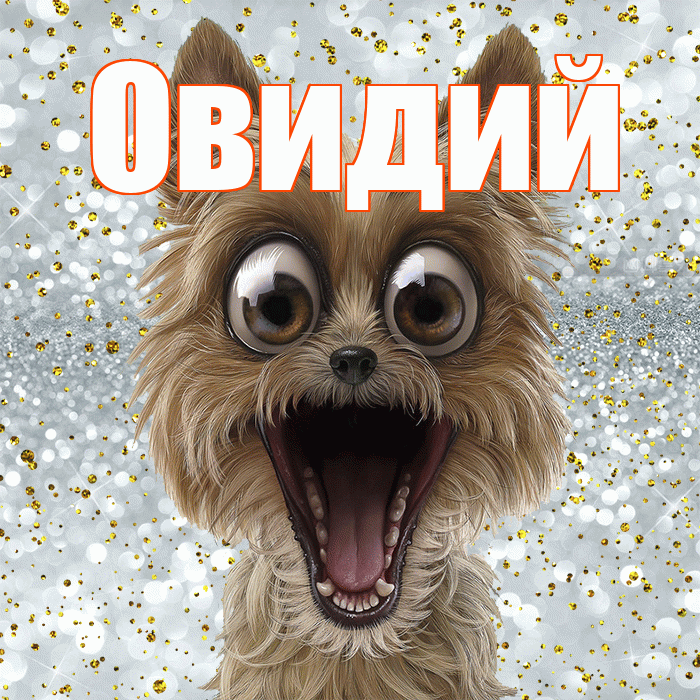Овидий! Удачи Тебе! Красивая открытка Овидию!