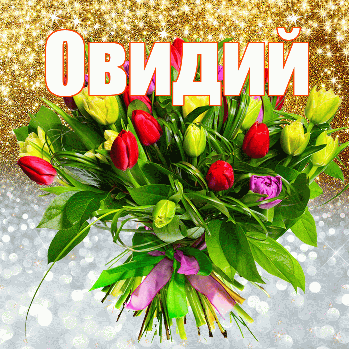 Овидий! Удачи Тебе! Красивая открытка Овидию!