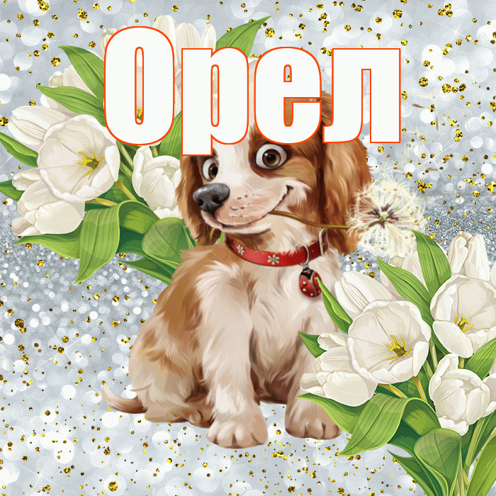 Орел! Удачи Тебе! Красивая открытка Орелу!