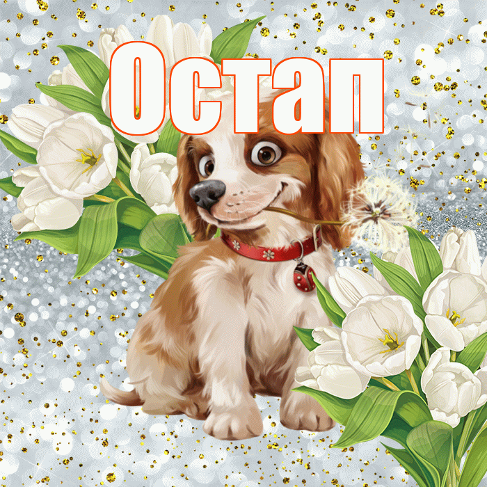 Остап! Удачи Тебе! Красивая открытка Остапу!