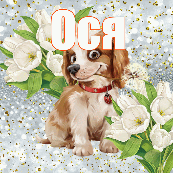 Ося! Удачи Тебе! Красивая открытка !