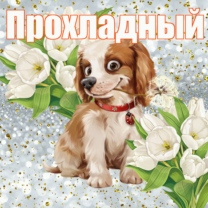 Прохладный! Удачи Тебе! Красивая открытка Прохладныю!