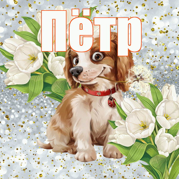 Пётр! Удачи Тебе! Красивая открытка Пётру!