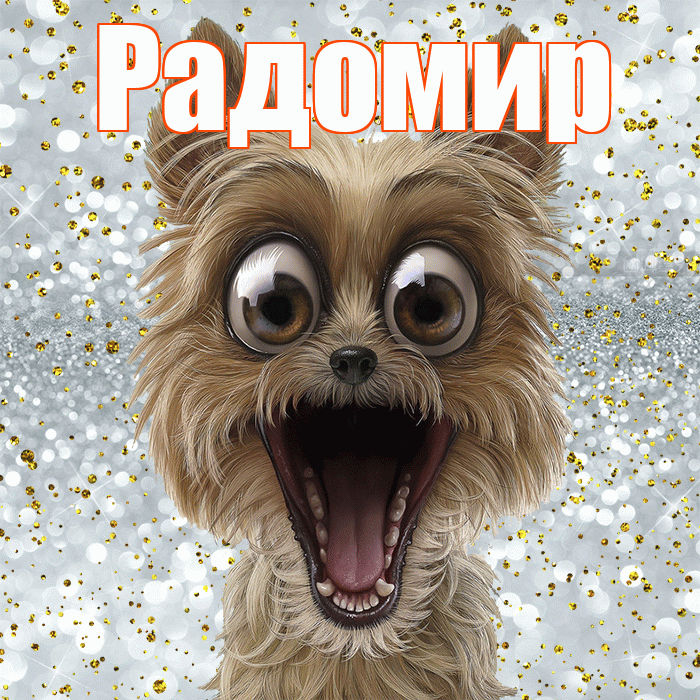 Радомир! Удачи Тебе! Красивая открытка Радомиру!