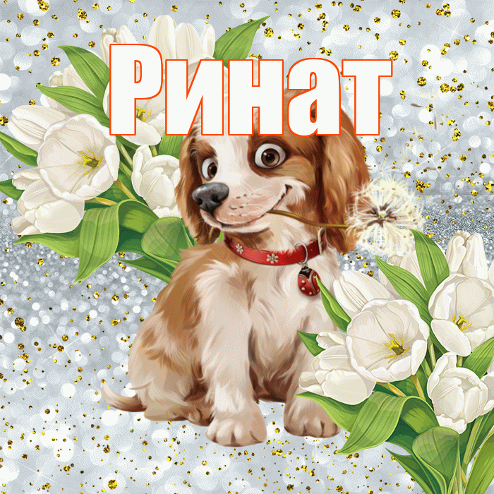 Ринат! Удачи Тебе! Красивая открытка Ринату!