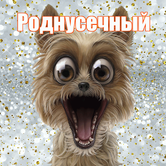 Роднусечный! Удачи Тебе! Красивая открытка !
