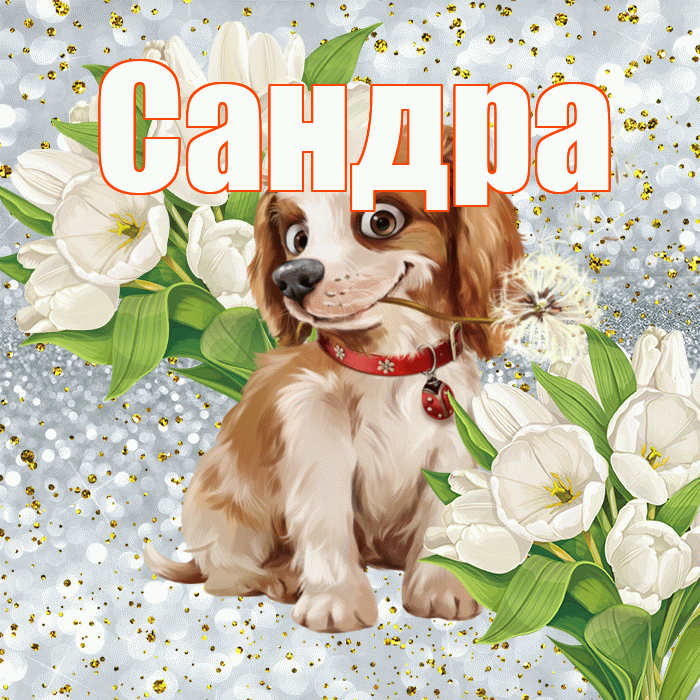 Сандра! Удачи Тебе! Красивая открытка Сандре!