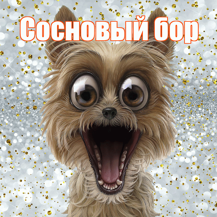 Сосновый бор! Удачи Тебе! Красивая открытка !