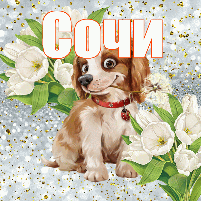Сочи! Удачи Тебе! Красивая открытка Сочи!