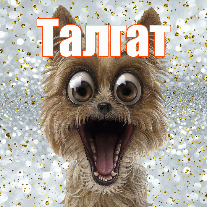 Талгат! Удачи Тебе! Красивая открытка Талгату!