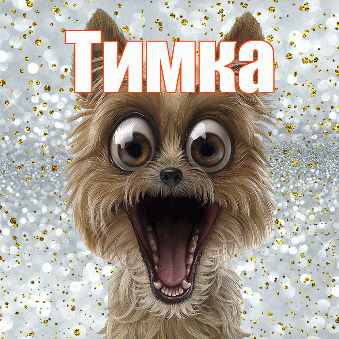 Тимка! Удачи Тебе! Красивая открытка !