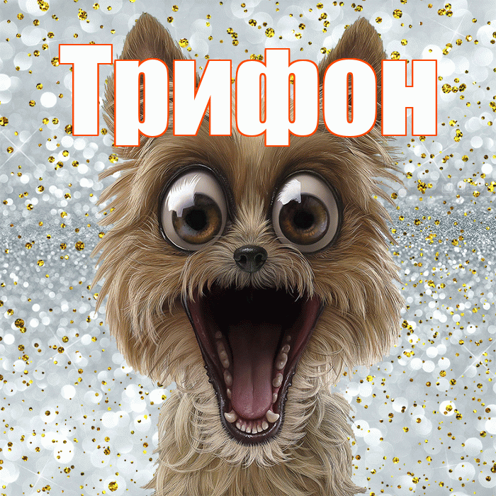 Трифон! Удачи Тебе! Красивая открытка Трифону!