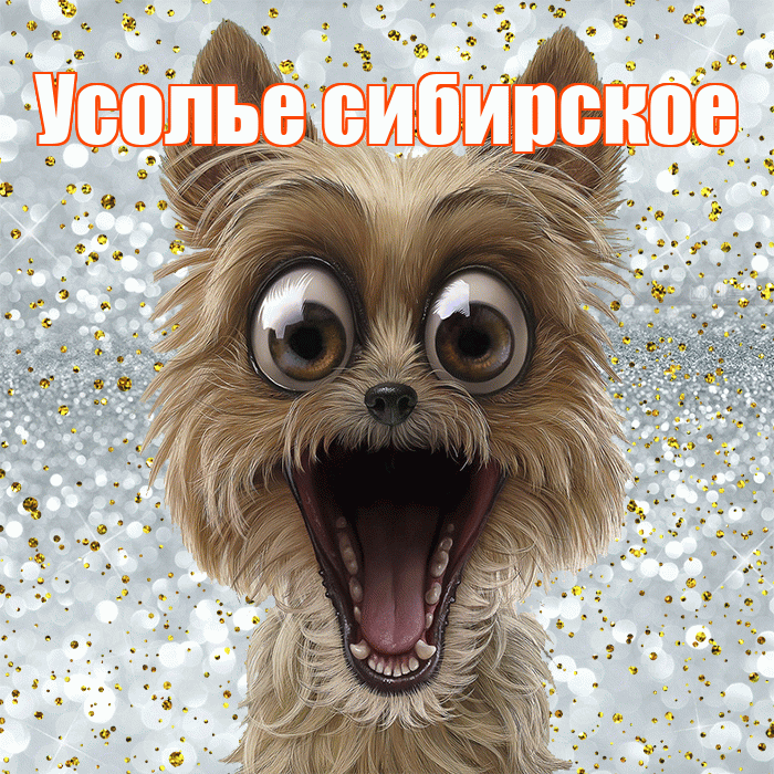 Усолье сибирское! Удачи Тебе! Красивая открытка !