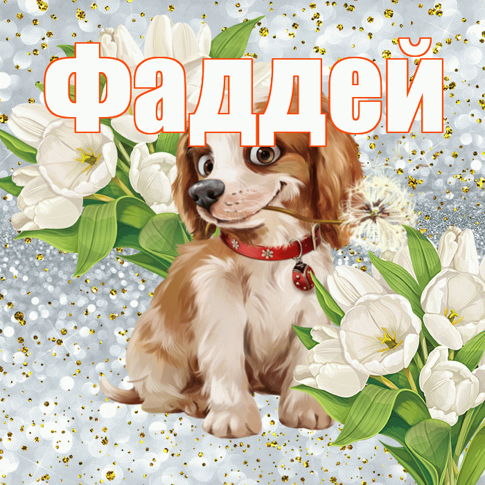 Фаддей! Удачи Тебе! Красивая открытка Фаддею!