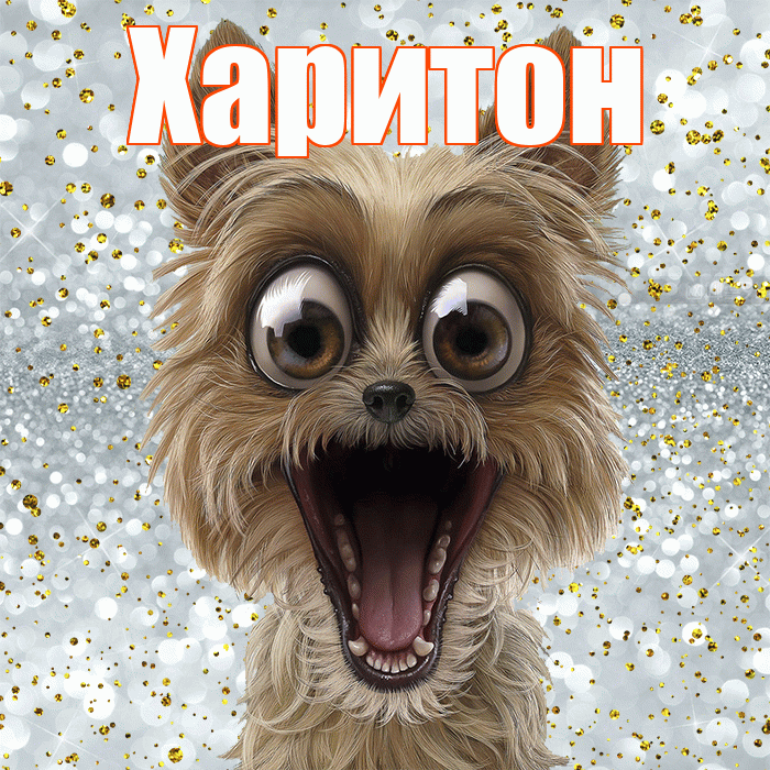Харитон! Удачи Тебе! Красивая открытка Харитону!