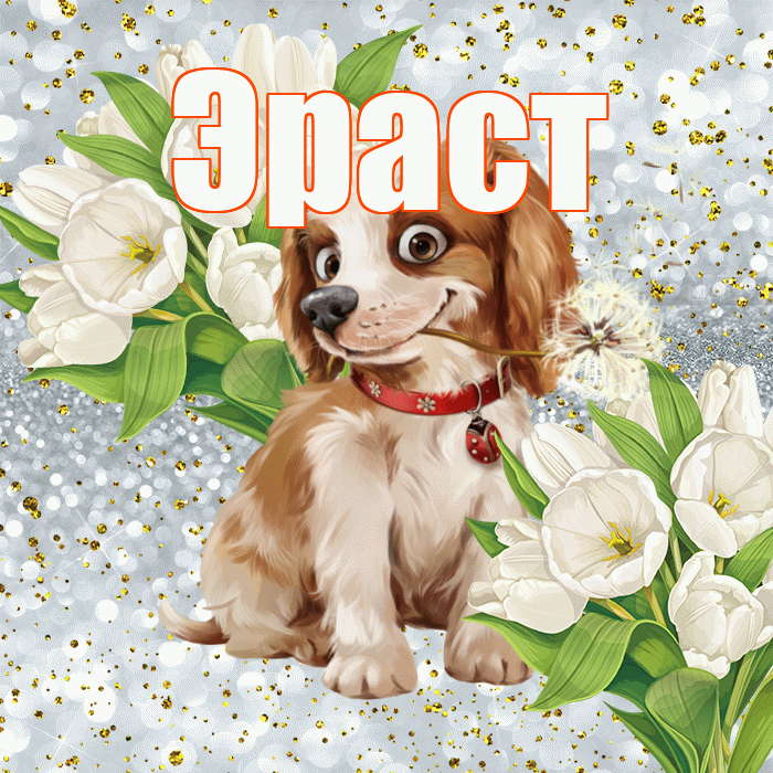 Эраст! Удачи Тебе! Красивая открытка Эрасту!