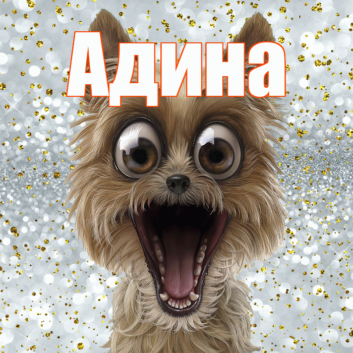 Адина! Улыбнись! Красивая открытка Адине!
