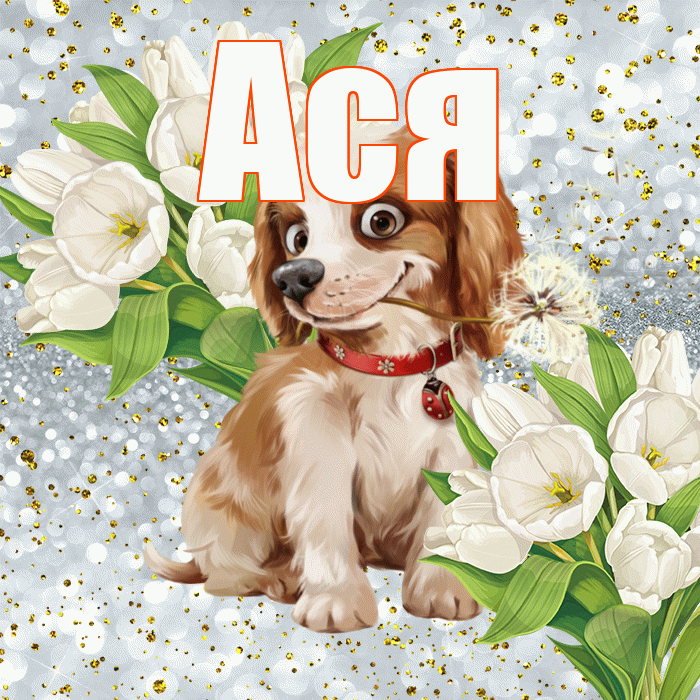 Ася! Улыбнись! Красивая открытка Асе!