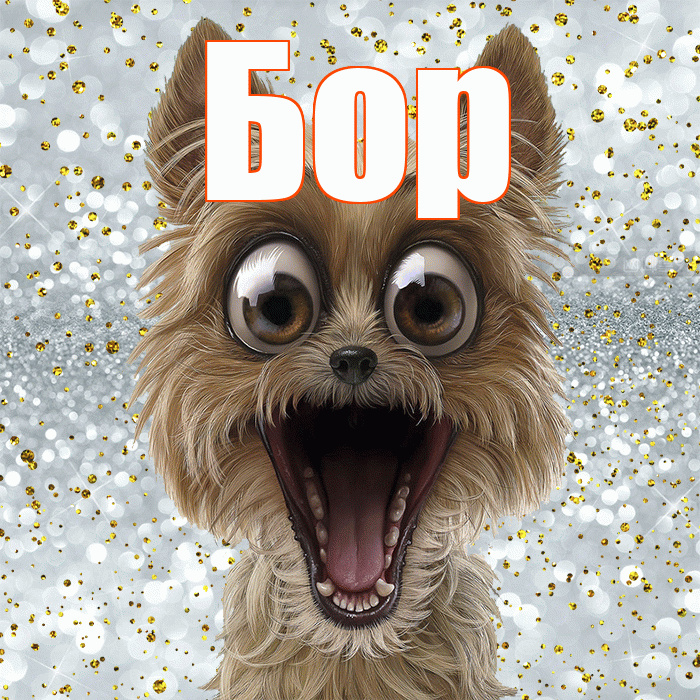 Бор! Улыбнись! Красивая открытка Бору!