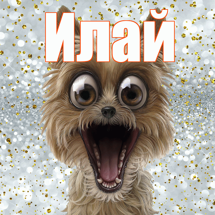 Илай! Улыбнись! Красивая открытка Илаю!