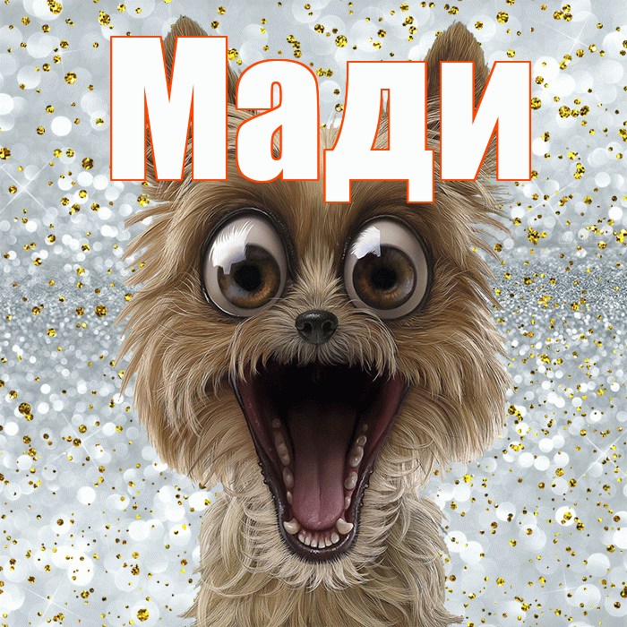 Мади! Улыбнись! Красивая открытка Мади!