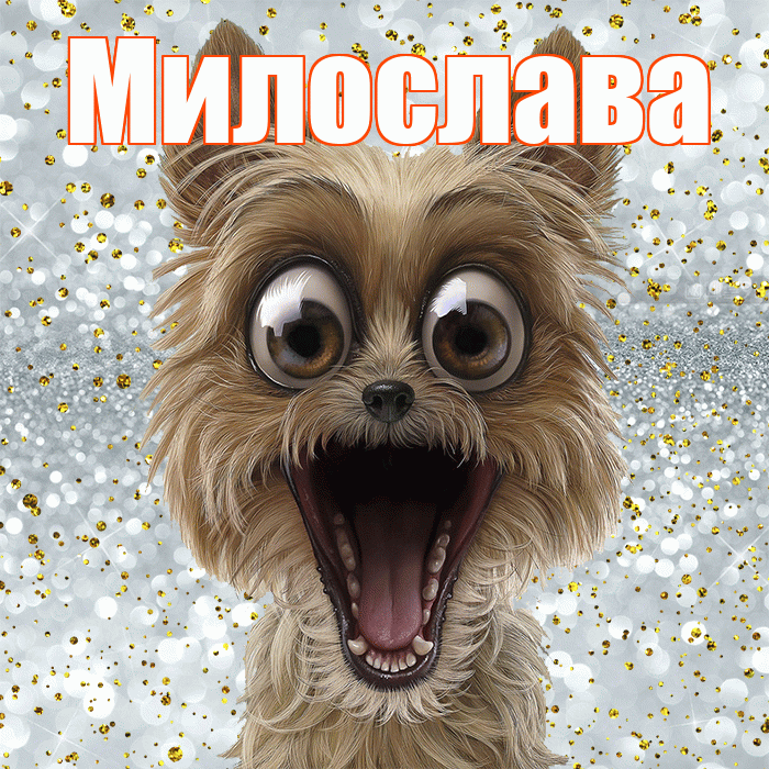 Милослава! Улыбнись! Красивая открытка Милославе!