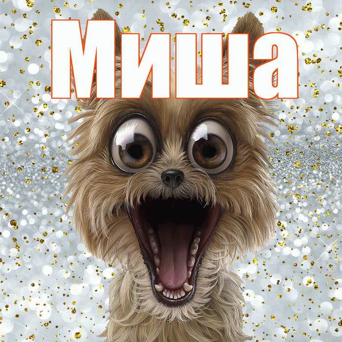 Миша! Улыбнись! Красивая открытка Мише!