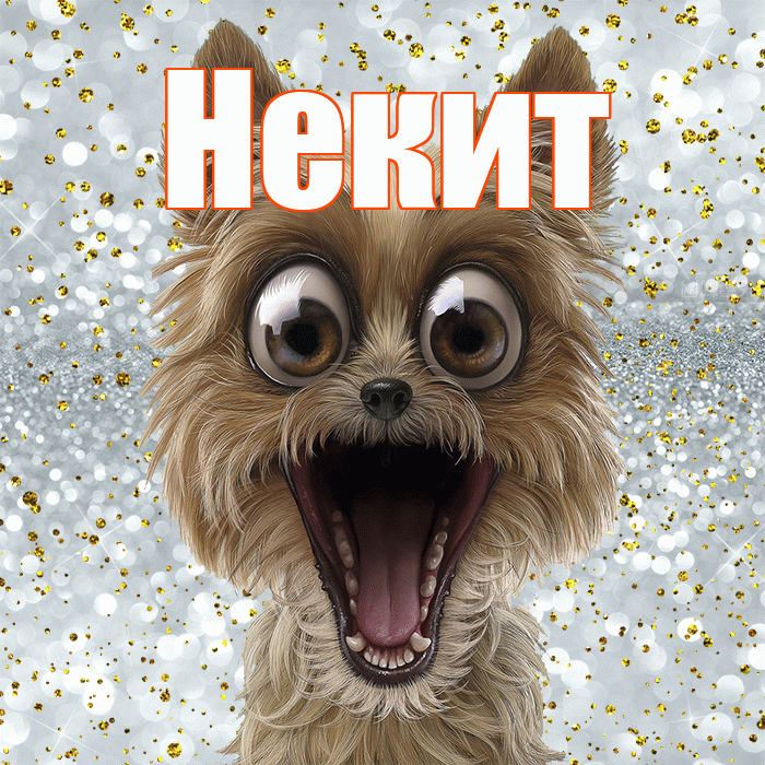 Некит! Улыбнись! Красивая открытка !