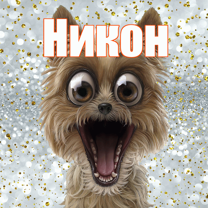 Никон! Улыбнись! Красивая открытка Никону!