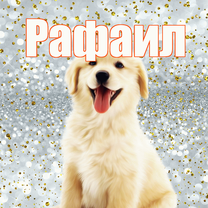 Рафаил! Улыбнись! Красивая открытка Рафаилу!