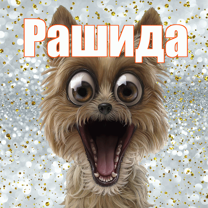 Рашида! Улыбнись! Красивая открытка Рашиде!