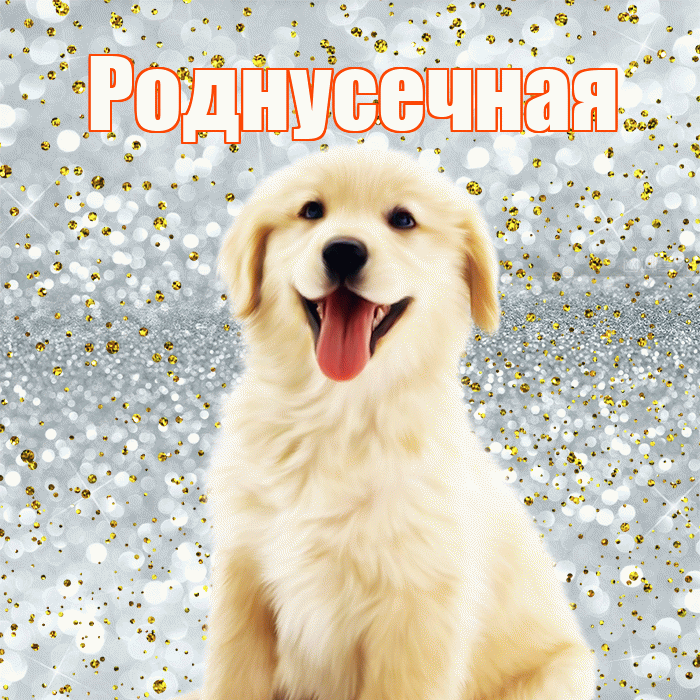 Роднусечная! Улыбнись! Красивая открытка !