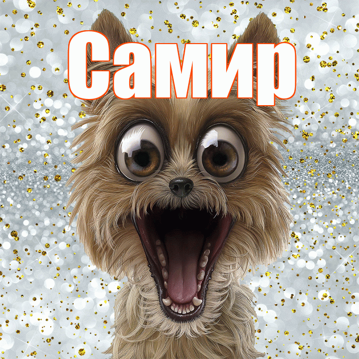 Самир! Улыбнись! Красивая открытка Самиру!