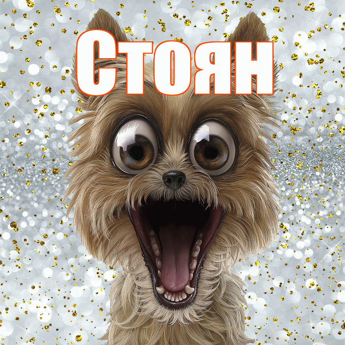 Стоян! Улыбнись! Красивая открытка Стоявшему!