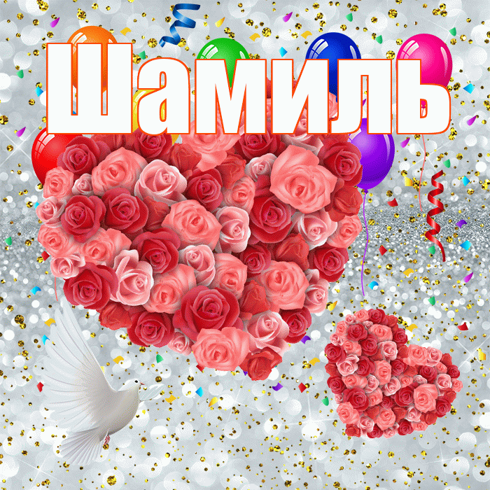 Шамиль! Улыбнись! Красивая открытка Шамилю!