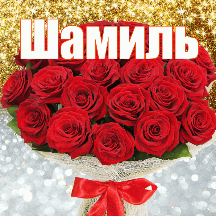 Шамиль! Улыбнись! Красивая открытка Шамилю!