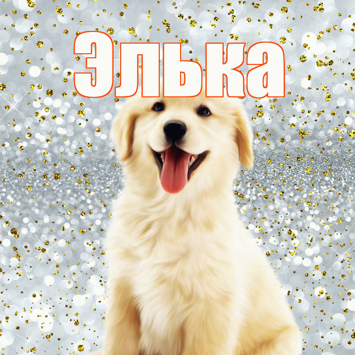 Элька! Улыбнись! Красивая открытка !