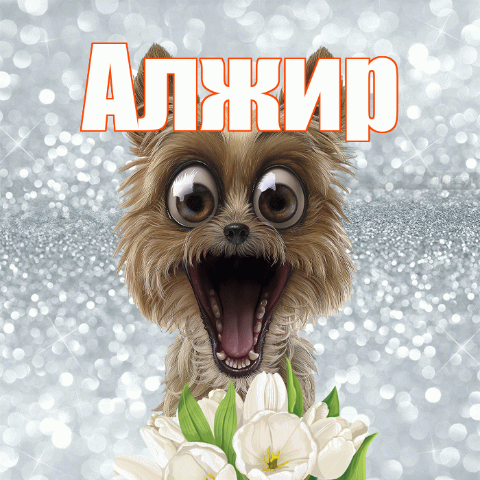 Алжир! Хорошего дня! Красивая открытка Алжиру!