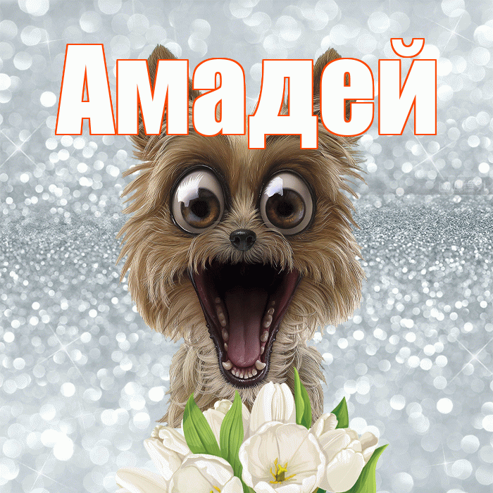 Амадей! Хорошего дня! Красивая открытка Амадею!