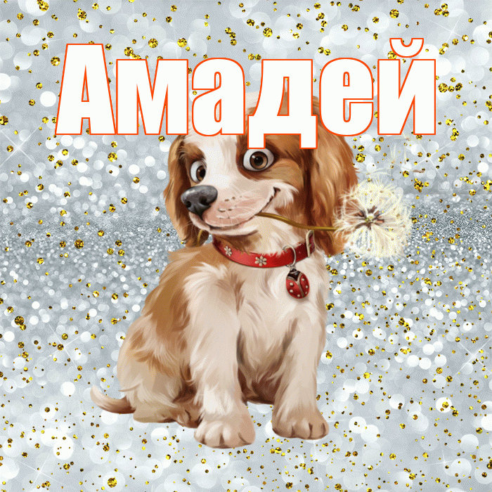 Амадей! Хорошего дня! Красивая открытка Амадею!