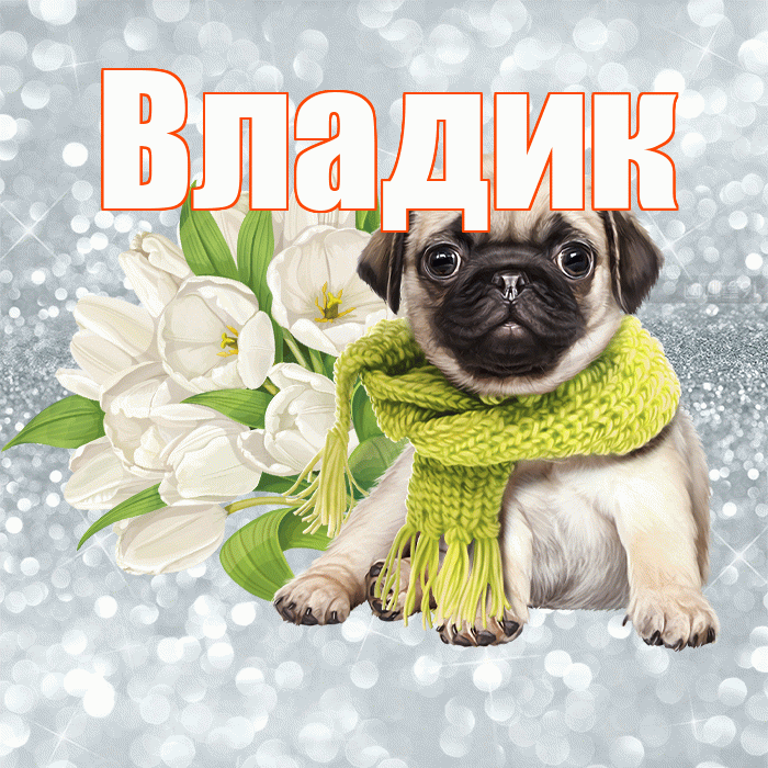 Владик! Хорошего дня! Красивая открытка !