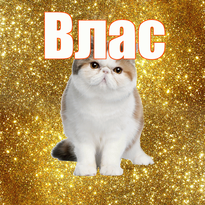 Влас! Хорошего дня! Красивая открытка Власу!