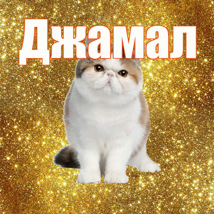 Джамал! Хорошего дня! Красивая открытка Джамалу!