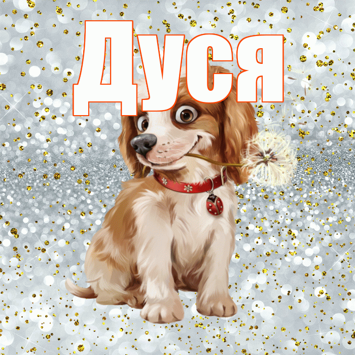 Дуся! Хорошего дня! Красивая открытка Дусе!