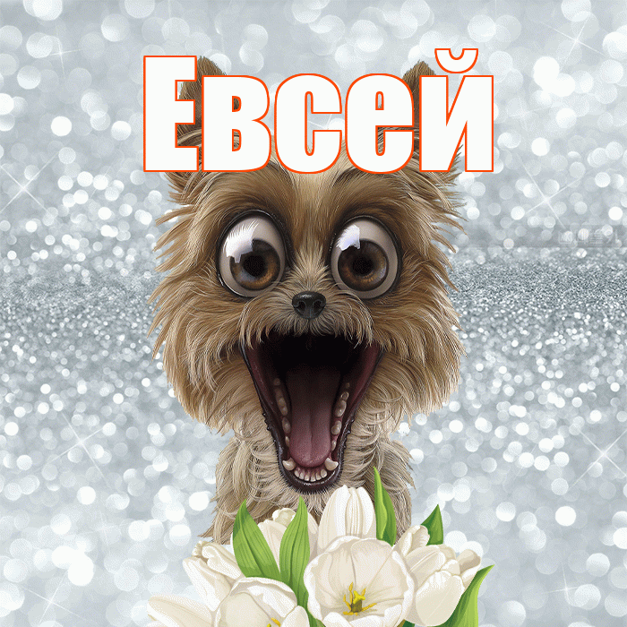 Евсей! Хорошего дня! Красивая открытка Евсею!