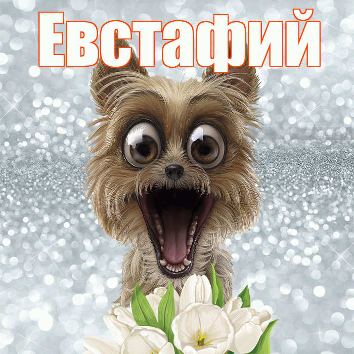 Евстафий! Хорошего дня! Красивая открытка Евстафию!